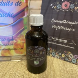 Alcoolature de verveine officinale