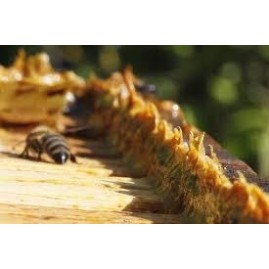 Teinture mère de propolis - propolis bio français - Pyrénées